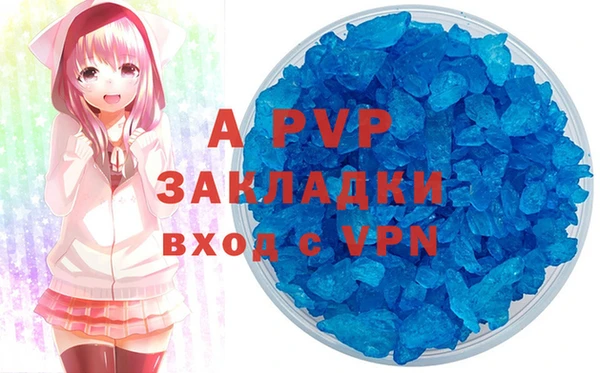 стаф Аркадак