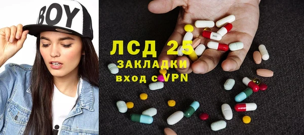 стаф Аркадак