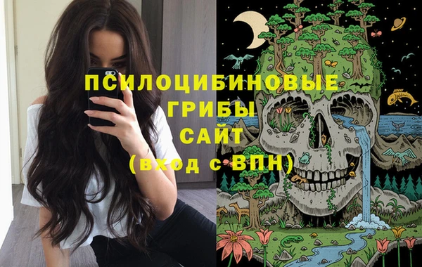 спиды Арсеньев