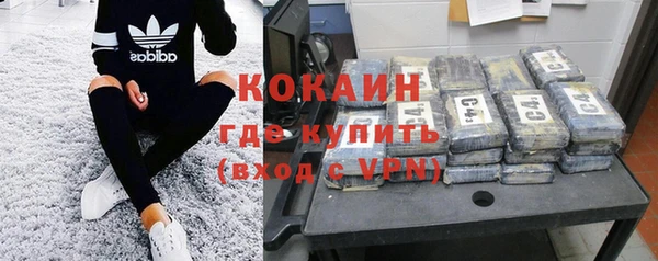 стаф Аркадак