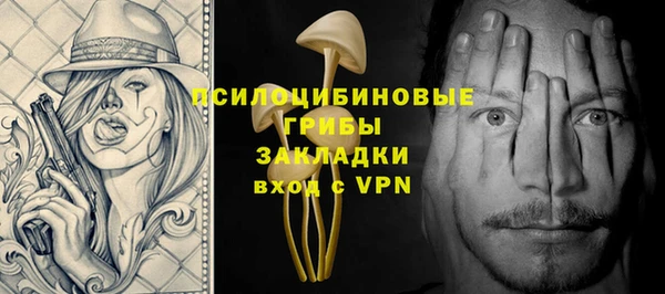 спиды Арсеньев