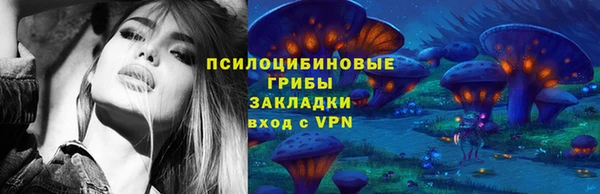 спиды Арсеньев