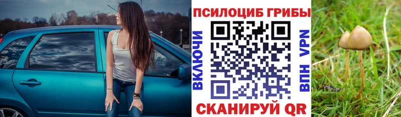 Галлюциногенные грибы прущие грибы  как найти закладки  KRAKEN онион  Верхняя Салда 